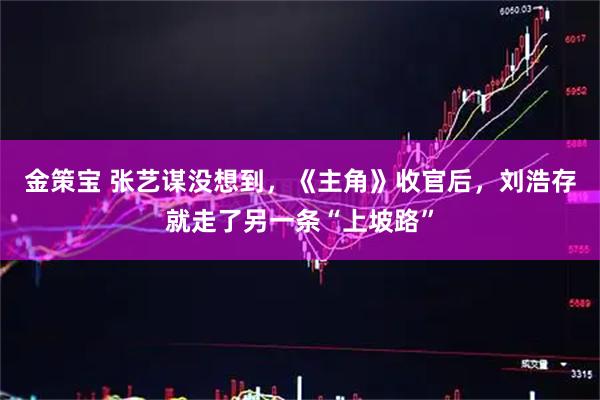 金策宝 张艺谋没想到,《主角》收官后,刘浩存就走了另一条“上坡路”